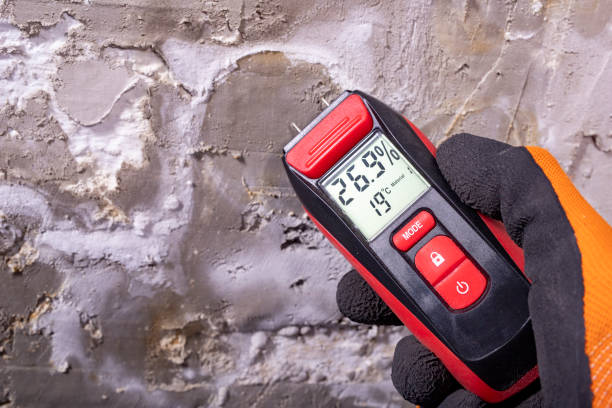Best Attic Mold Remediation in Lynn, IN